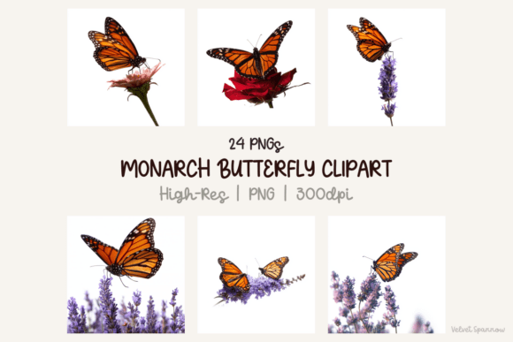 Strategic Visual Assets: Leveraging Monarch Butterfly Clipart for Brand and Creative Efficiency